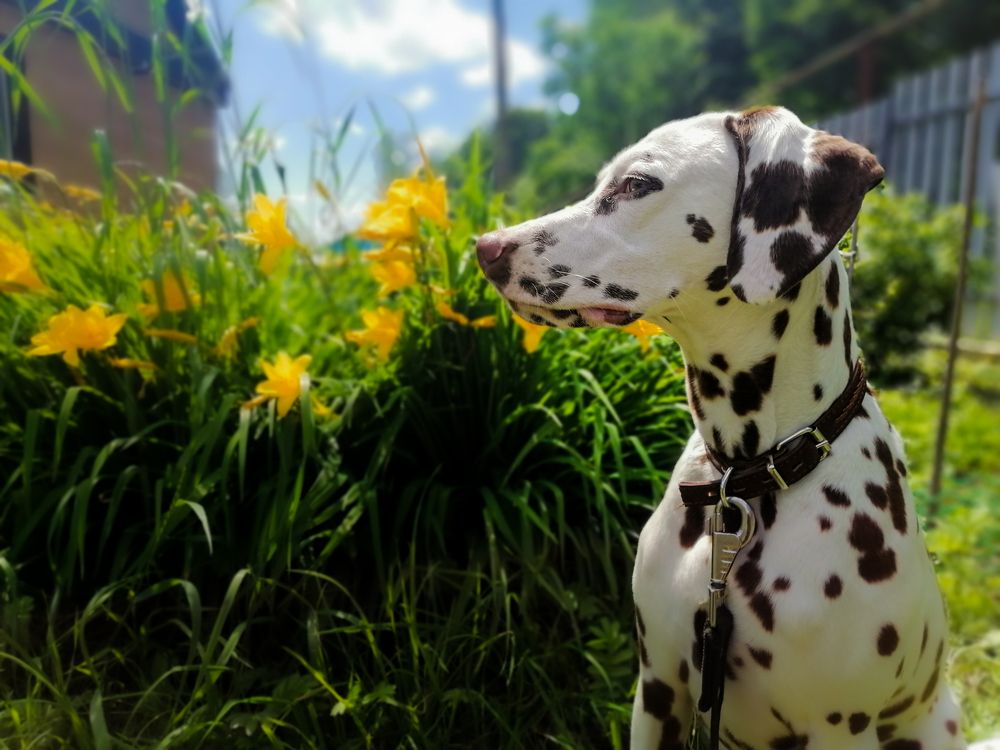 Photograph by Станислав Евсеев