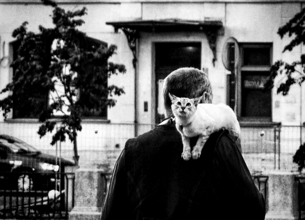 Photograph by 