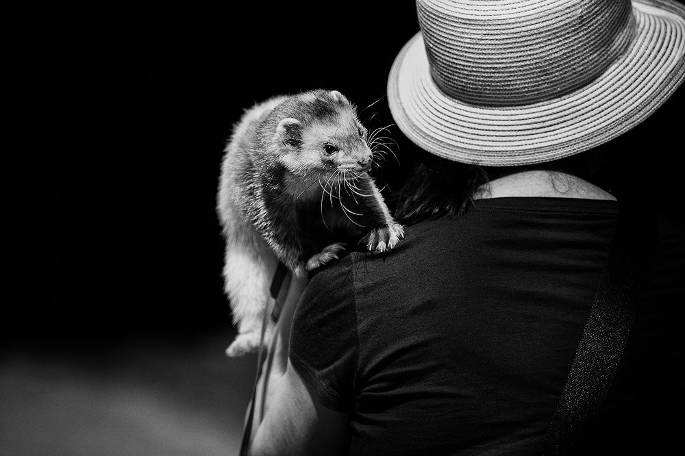 Photograph by Vera Trandina