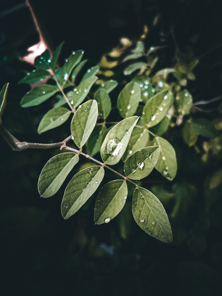 Rainy day