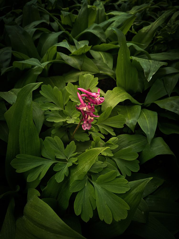 Photograph by Jernej Tratnik