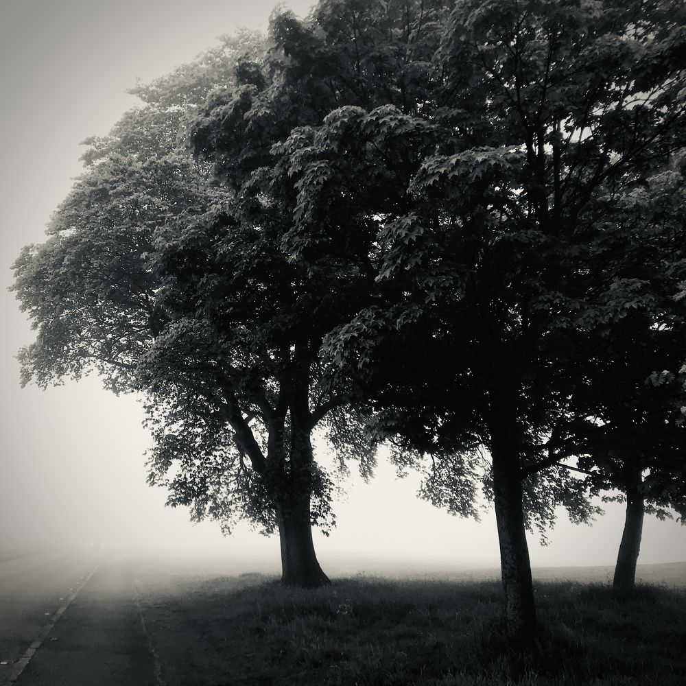 Photograph by Svjatoslavs Andrijevskis