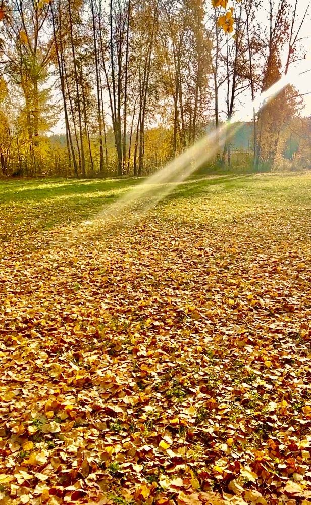 Photograph by Светлана Хохлова