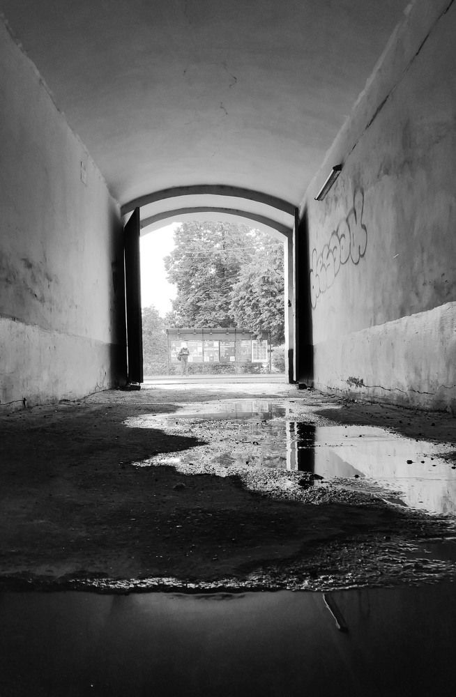 Photograph by Сергей Заподовников