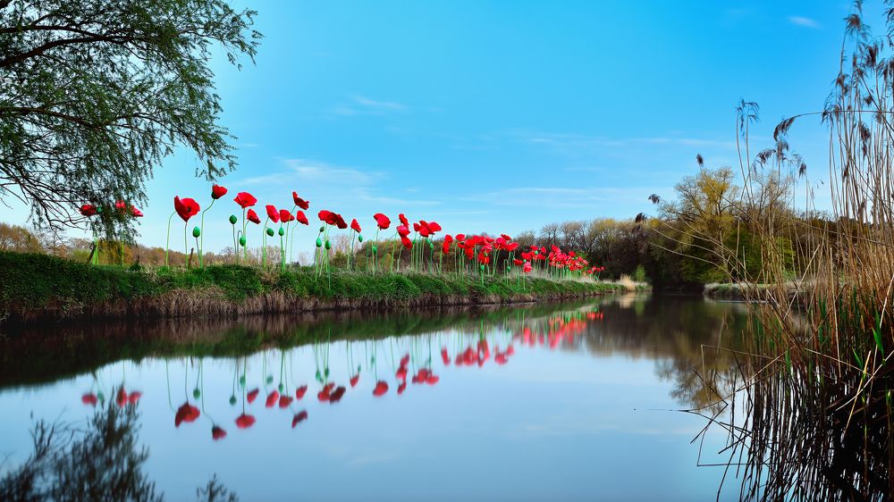 Photograph by Wilbert Maximus