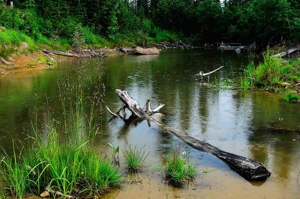 Photograph by Владимир