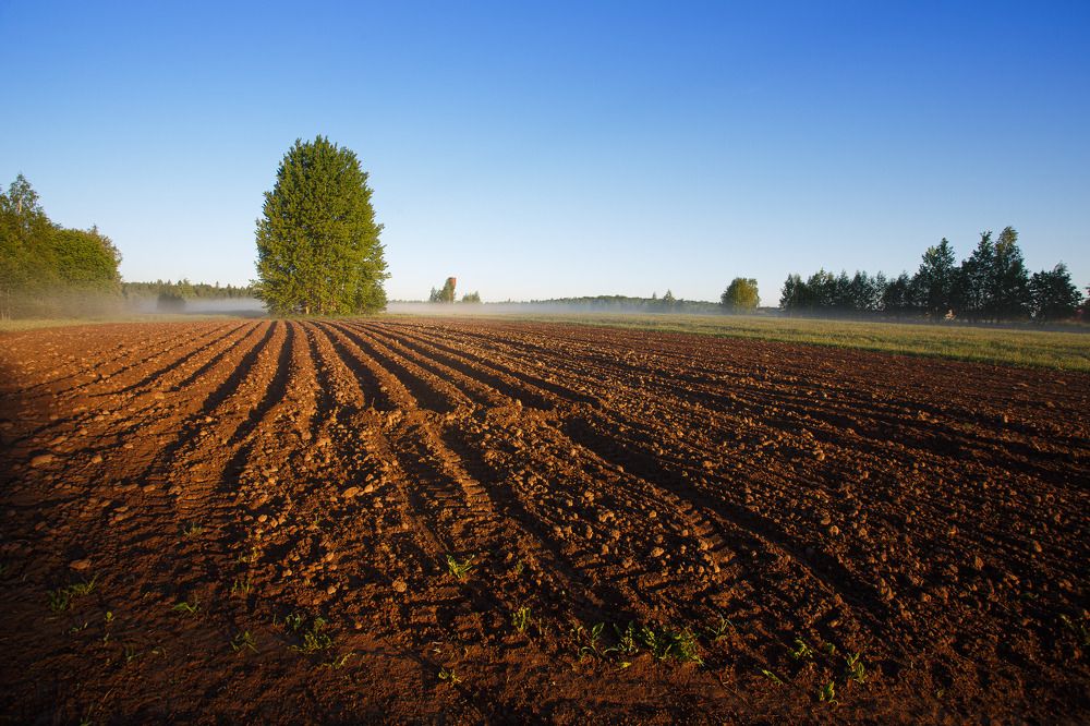 Photograph by Дмитрий Зеленько