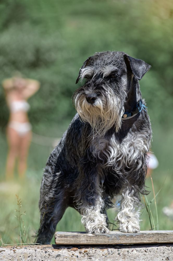 Photograph by Сергей Трубицын