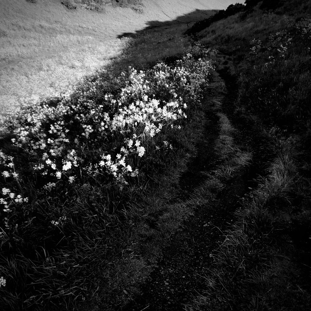 Photograph by Svjatoslavs Andrijevskis