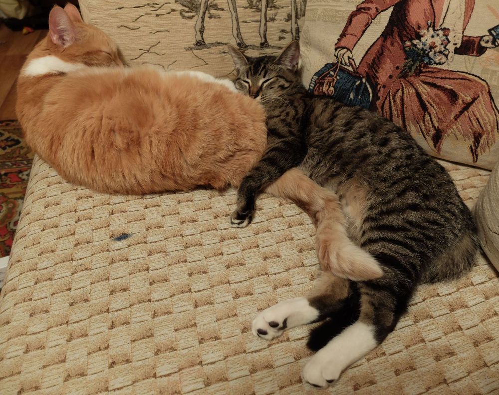 Photograph by Ираида Стародубцева