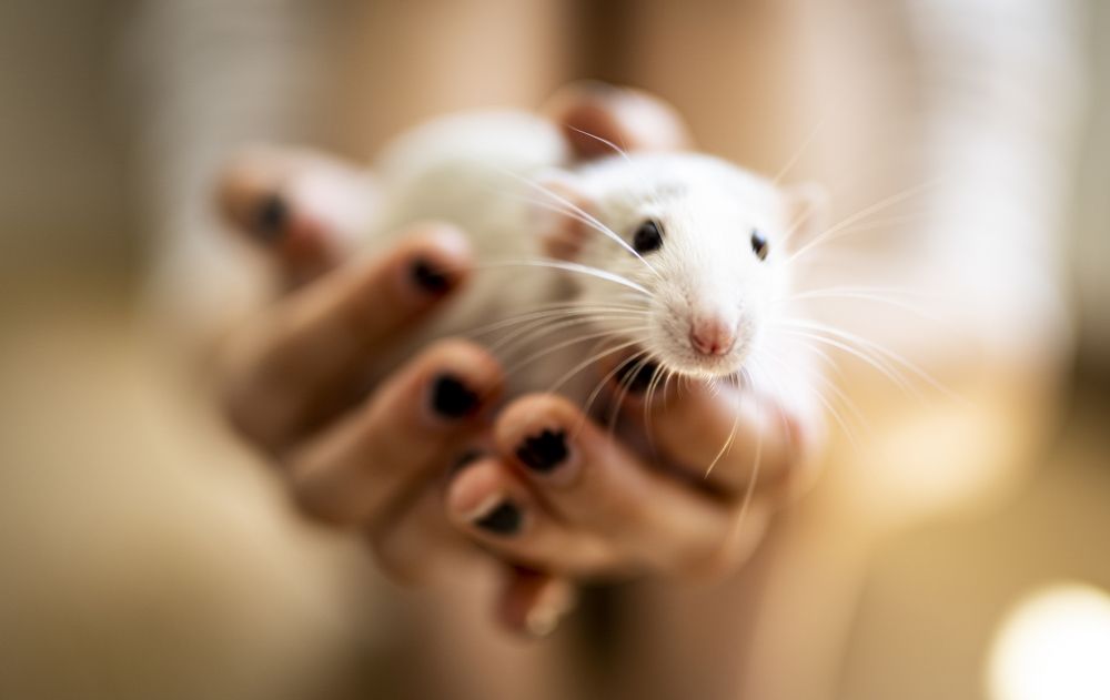 Photograph by Сергей Марков