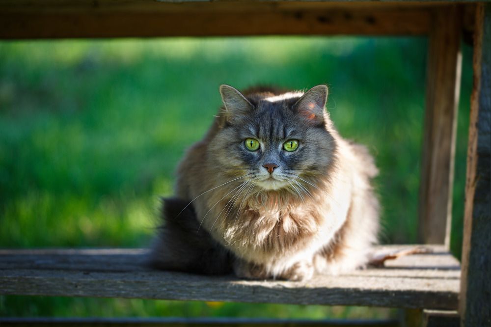 Photograph by Дмитрий Зеленько