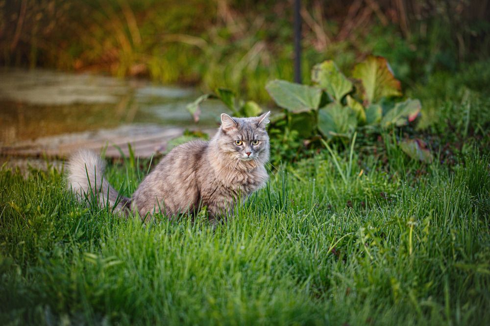 Photograph by Дмитрий Зеленько