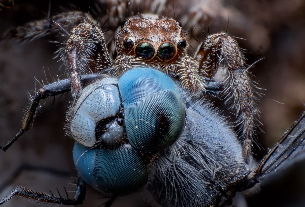 Photograph by Kiran KV