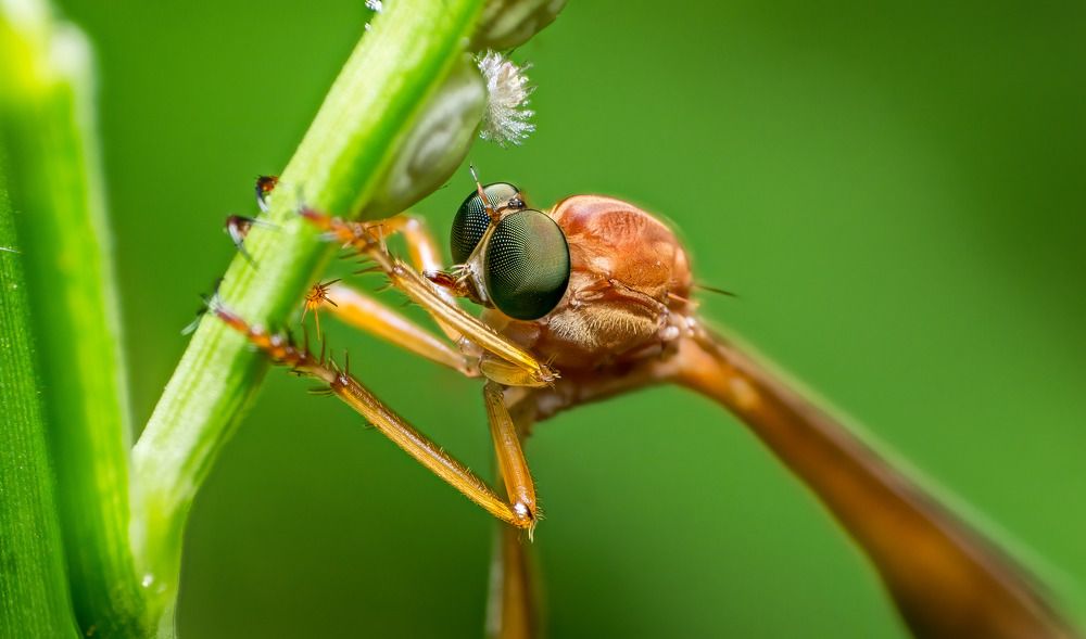 Фотография автора Kiran KV