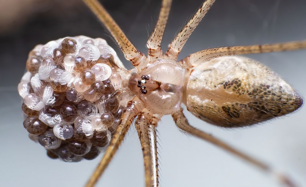 Фотография автора Kiran KV