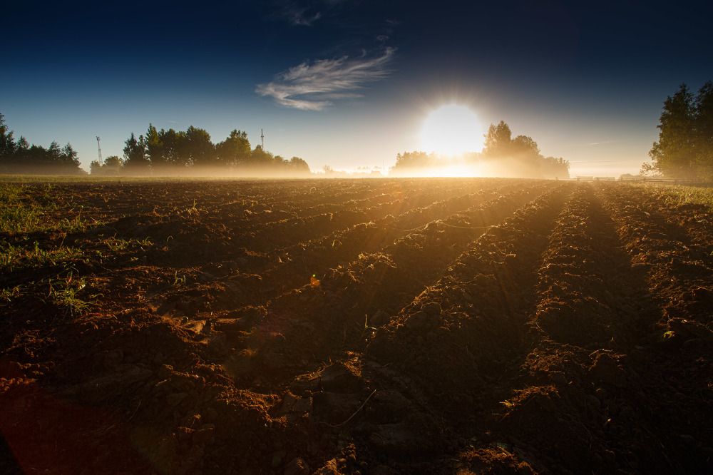 Photograph by Дмитрий Зеленько