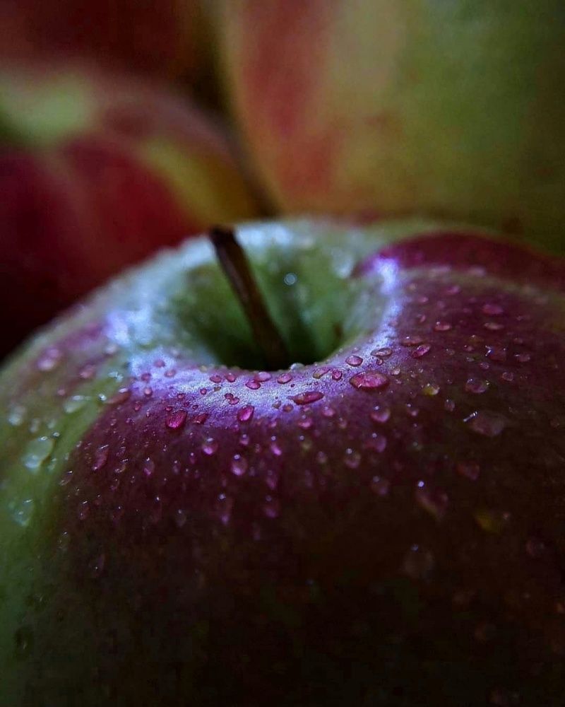 Фотография автора Zahra Seyedmorti