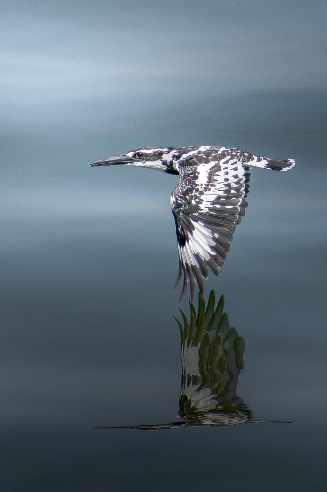 Photograph by Jai Tripathi