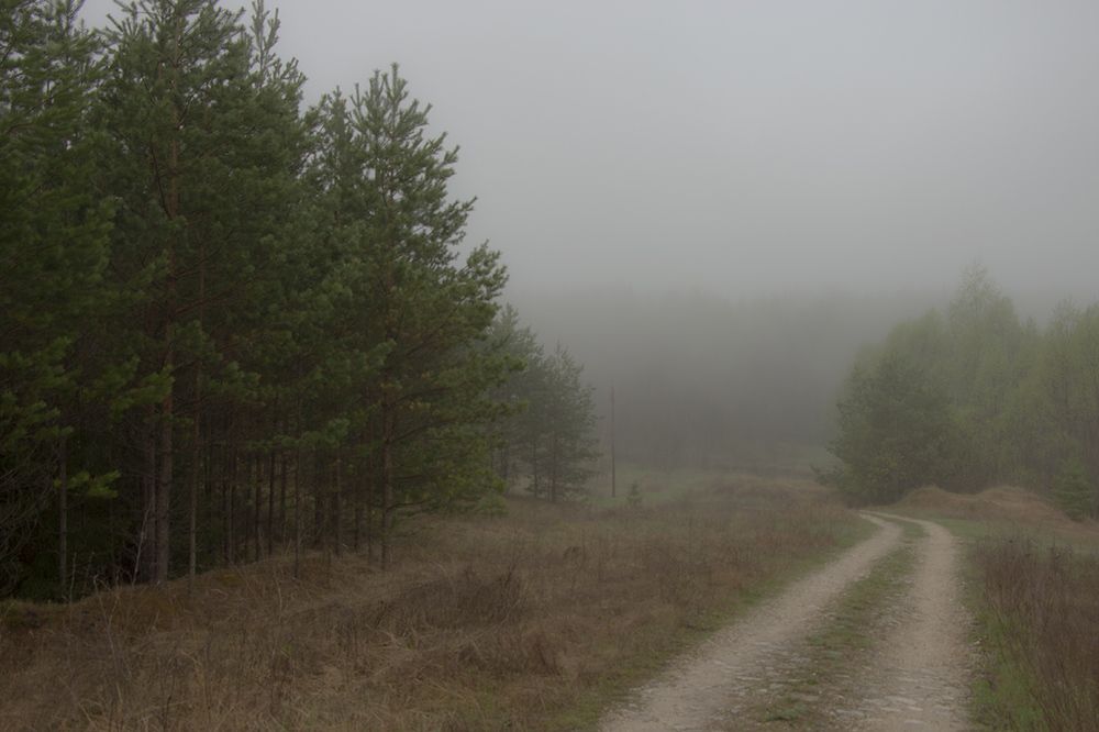 Photograph by Игорь Егоров