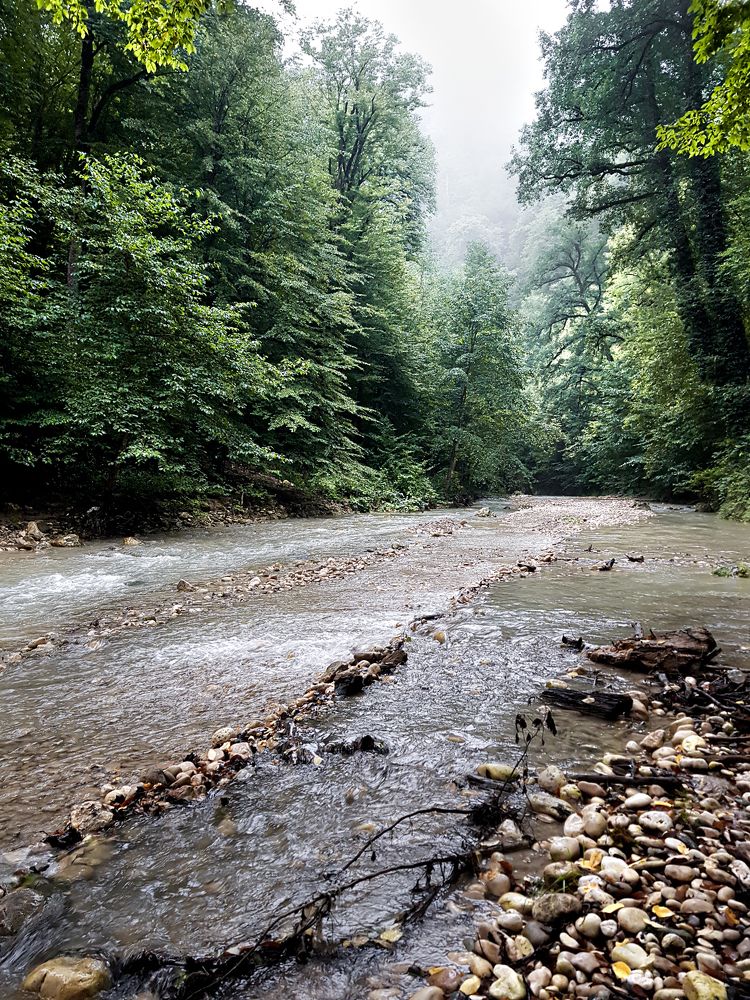 Фотография автора Nima Nezafat Yazdi
