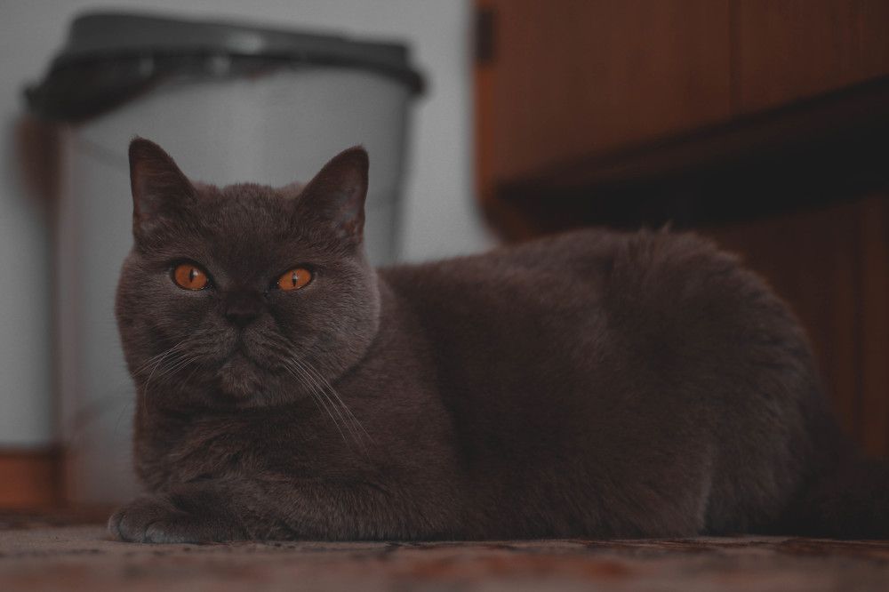 Photograph by Евгений Белов