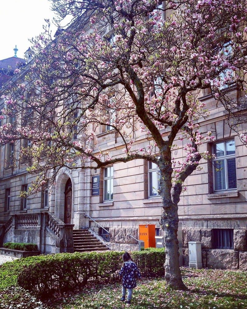 Photograph by Ирина Ерохина