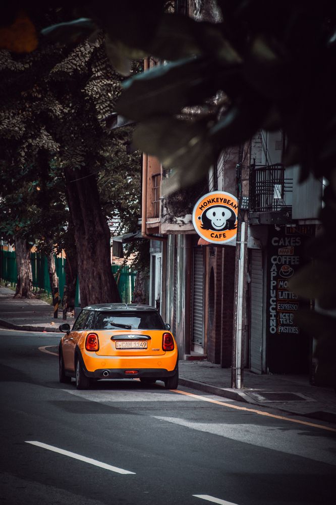 Photograph by Kalpa Chathuranga