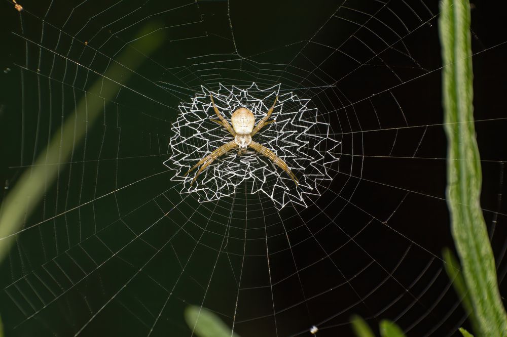 Photograph by Akhil Salim