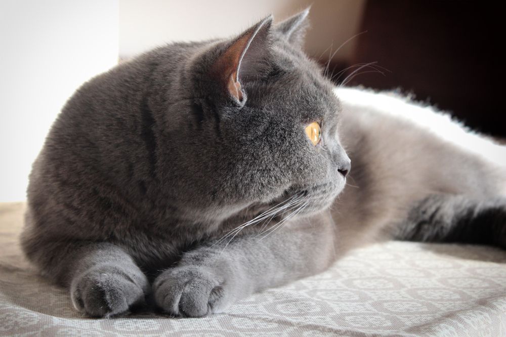 Photograph by Guntars