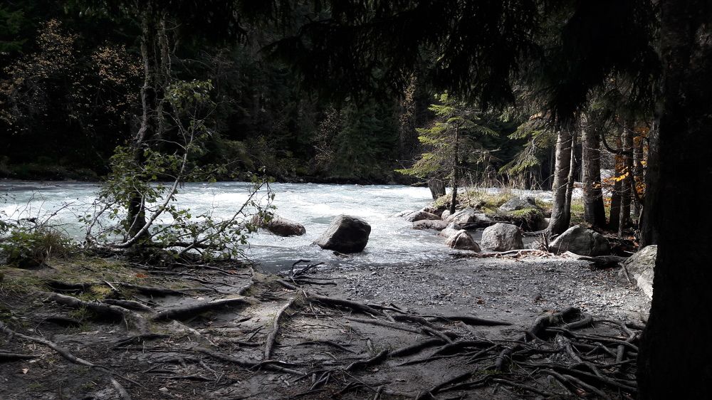 Photo #6193614