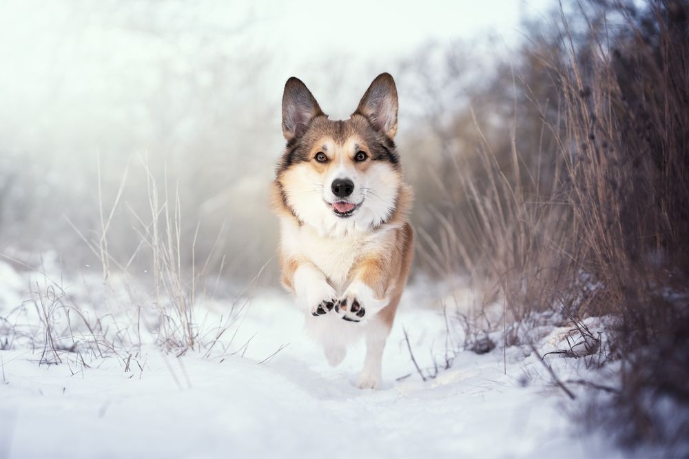 Photograph by Katarína Franková