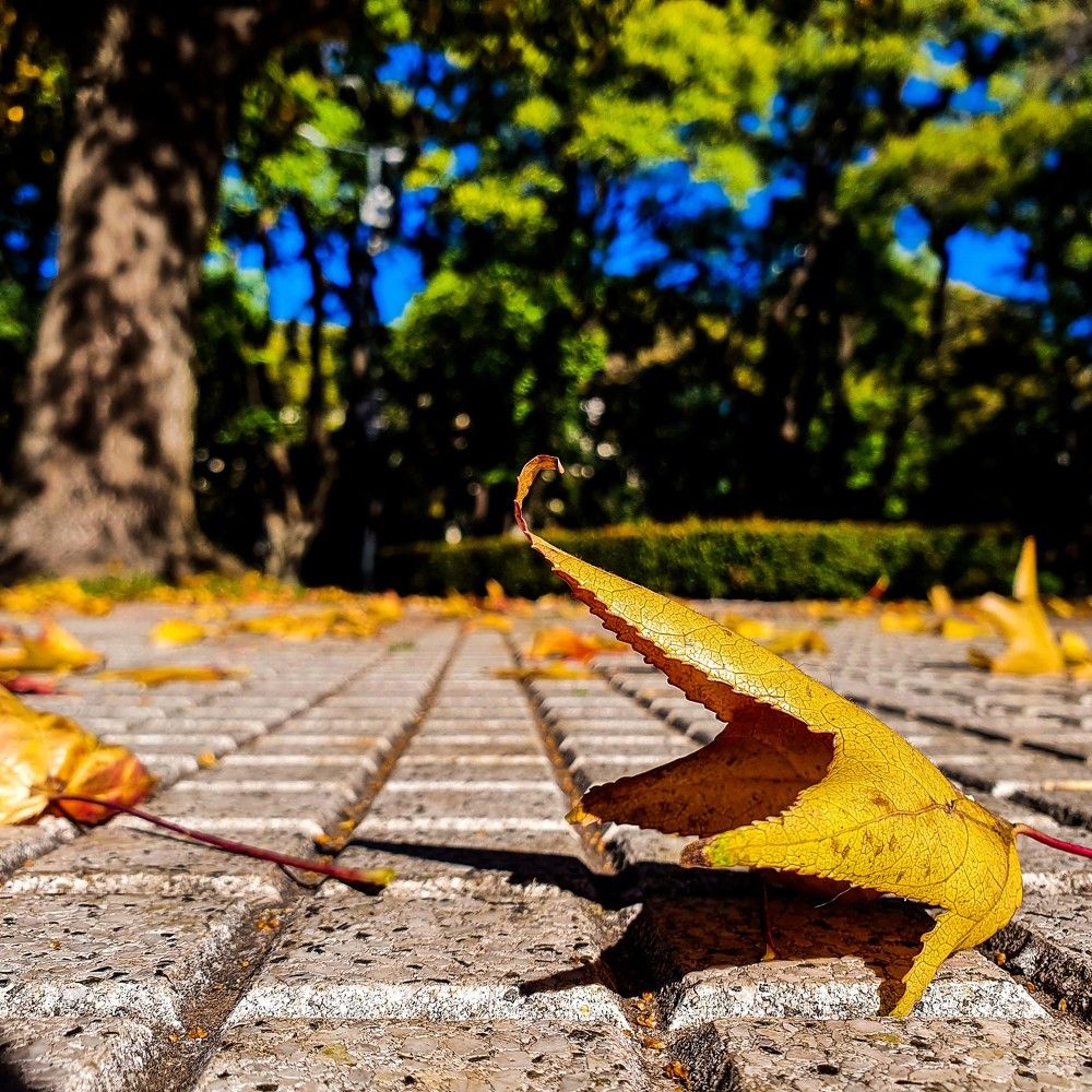 Photograph by Daniel Remondegui