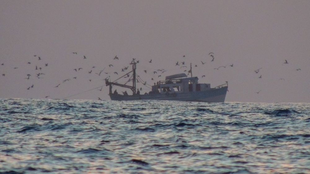 The boat