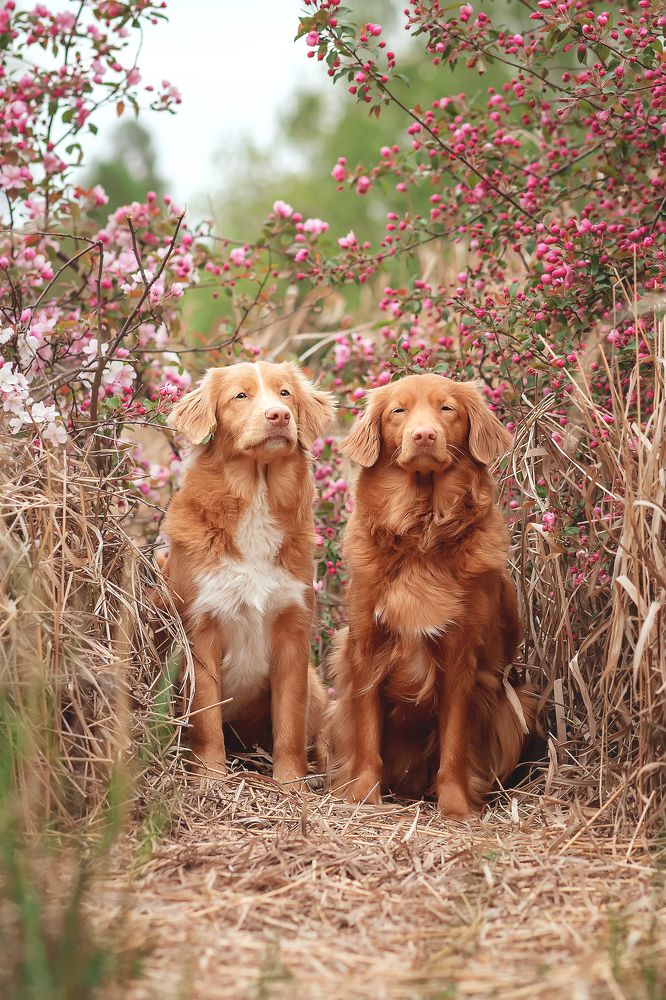 Photograph by Iryna Petrenko