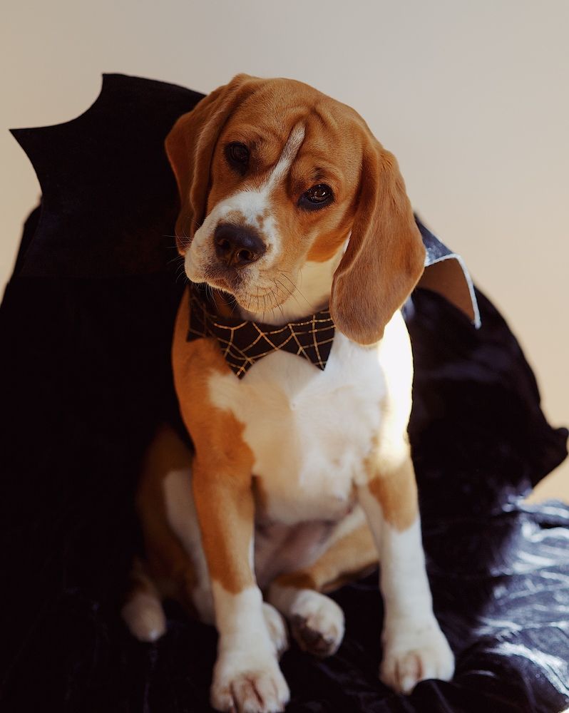 Фотография автора Emiliya