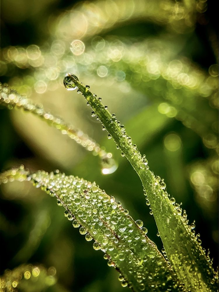 Photograph by Darwin Bibar