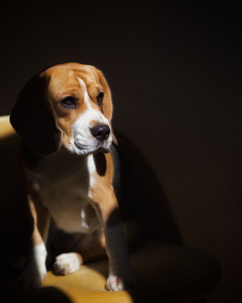 Фотография автора Emiliya