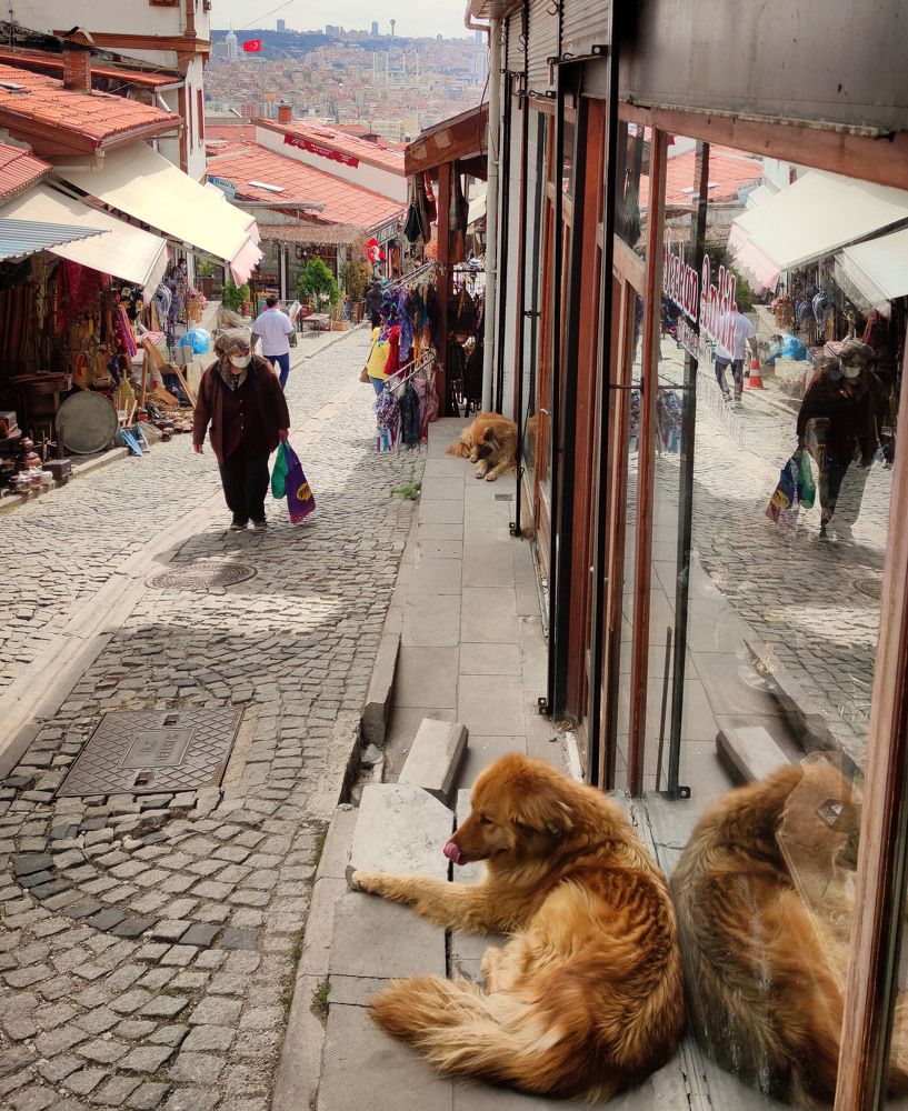 Photograph by Ali Düzdemir