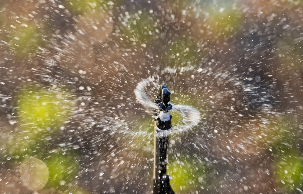 Photograph by IOANNIS PAPADOPOULOS