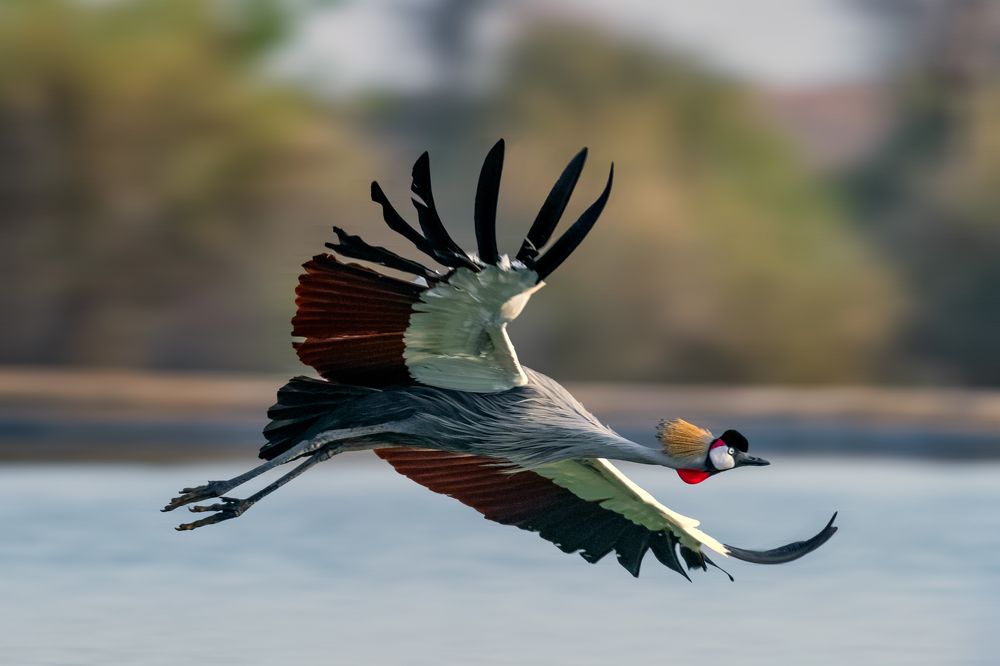 Фотография автора Anand Kumar