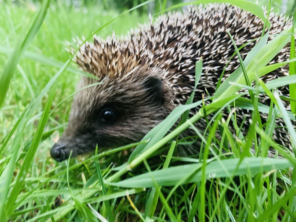 Photograph by Marina Ivanov