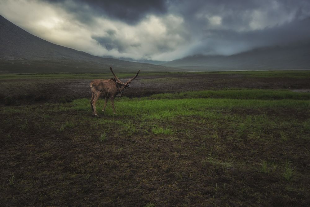 Photograph by Антон Кошетаров