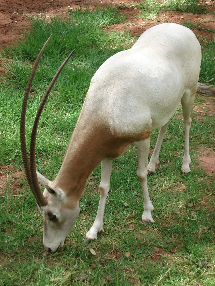 Photograph by Андрей Елькин