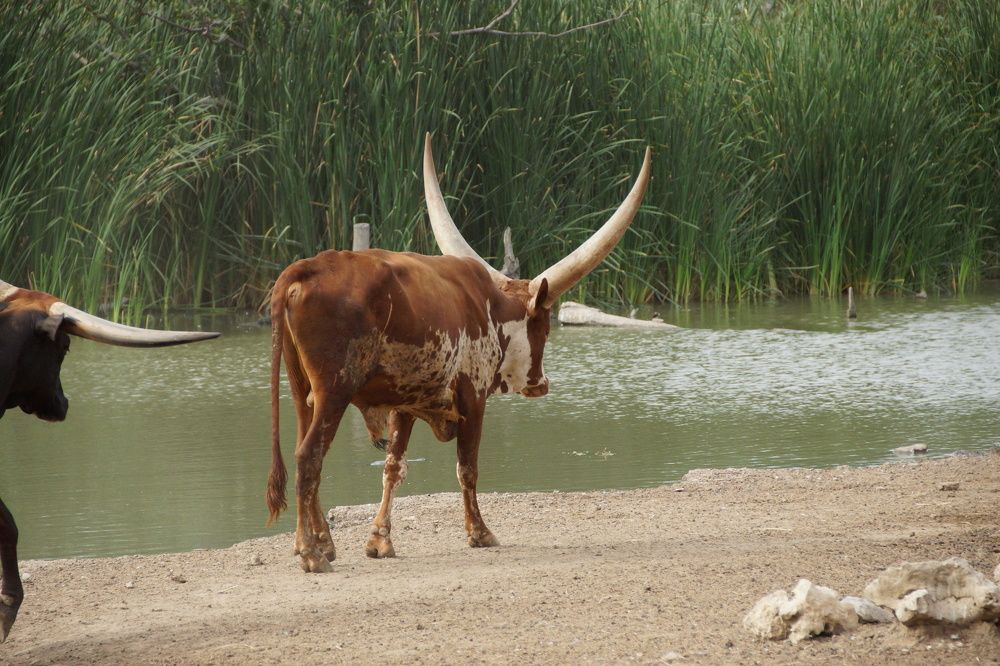 Photograph by Андрей Елькин