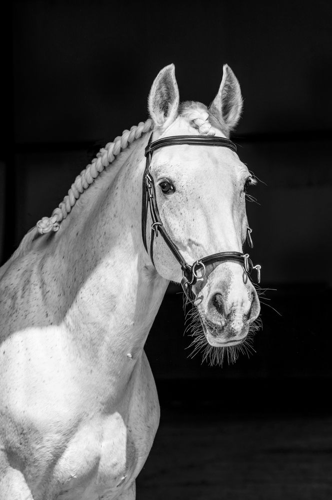 Photograph by Кристина Фарнакеева