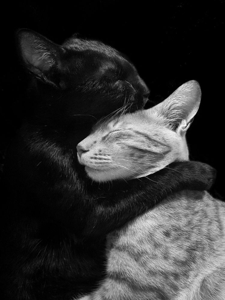 Photograph by sagar pavale