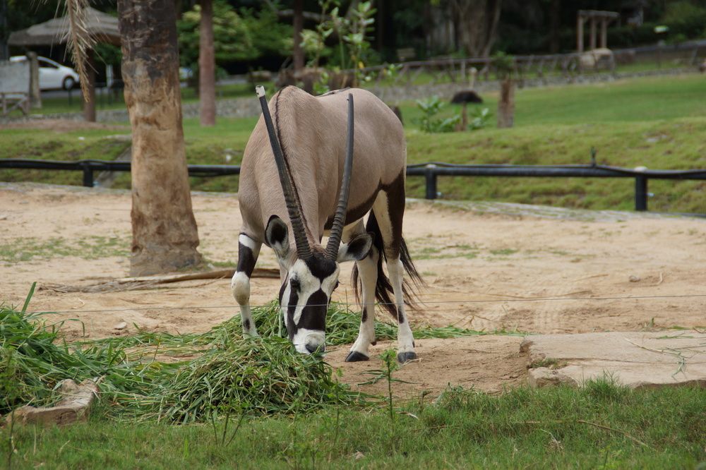 Photograph by Андрей Елькин