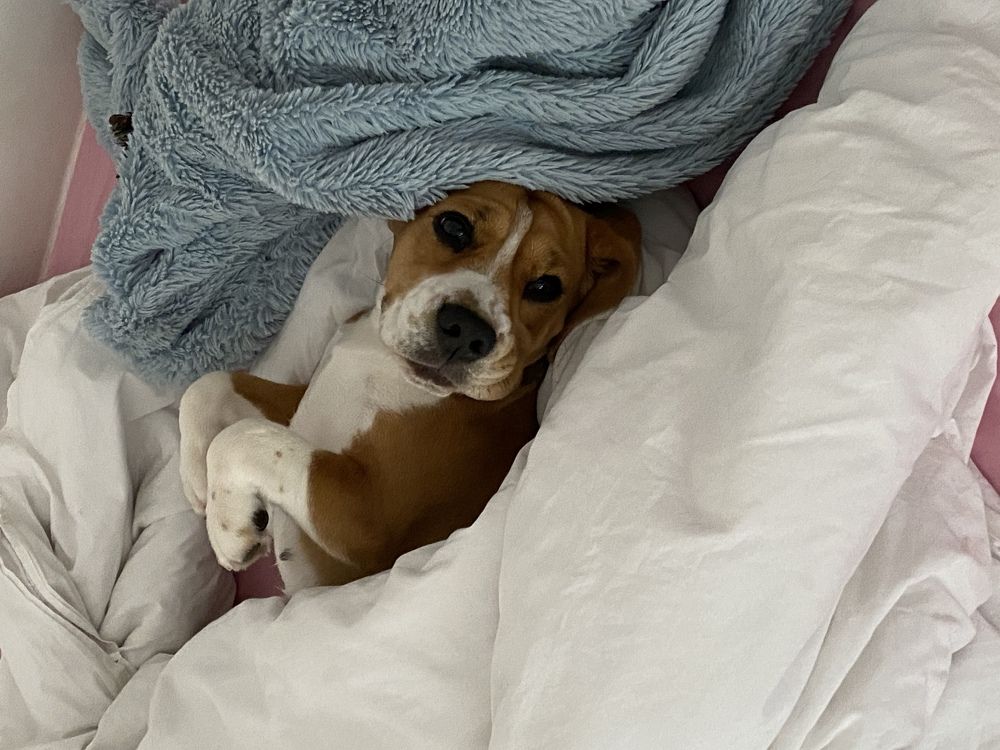 Фотография автора Emiliya