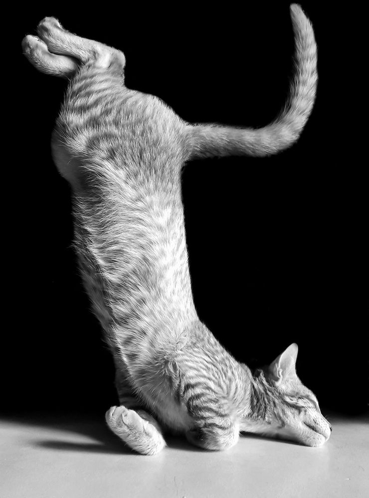 Photograph by sagar pavale